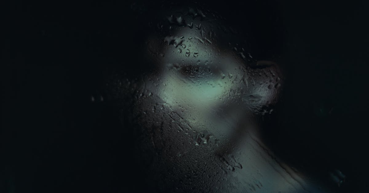 découvrez comment optimiser et réduire la taille de vos photos grâce à la compression d'image efficace sans perdre en qualité.